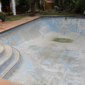 Backyard Pool Renovation in Progress 85x85